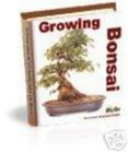 Picture of Growing Bonsai 