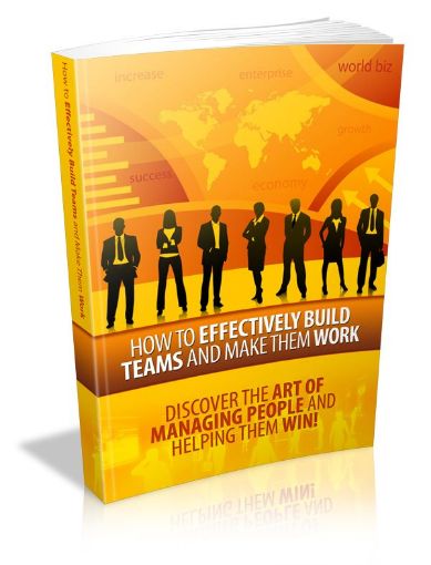 Picture of Effectively Build Teams And Work