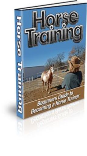 Picture of A Horse Trainer
