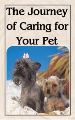 Picture of The Journey Of Caring For Your Pets
