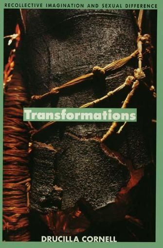 Picture of Transformations: Recollective Imagination and Sexual Difference