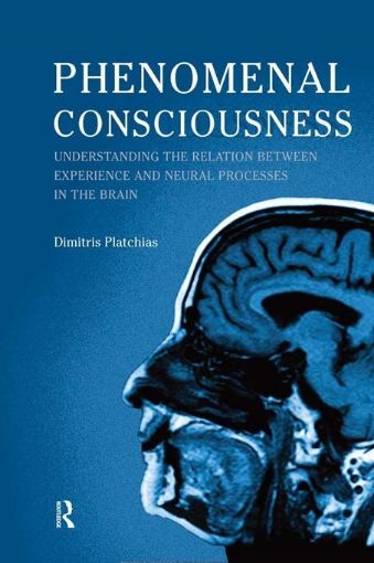 Picture of Phenomenal Consciousness: Understanding the Relation Between Experience and Neural Processes in the Brain