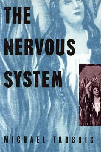 Picture of The Nervous System
