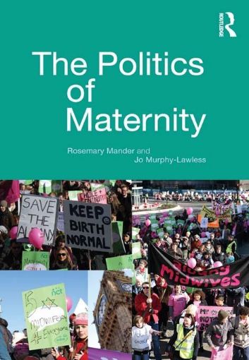 Picture of The Politics of Maternity