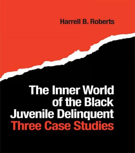 Picture of The Inner World of the Black Juvenile Delinquent: Three Case Studies