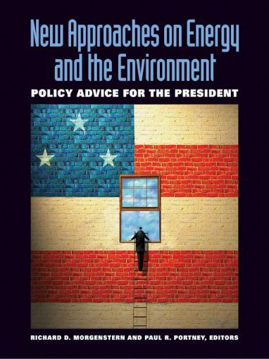 Picture of New Approaches on Energy and the Environment: Policy Advice for the President