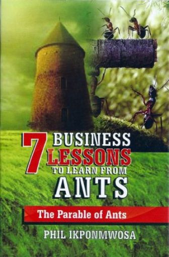 Picture of 7 Business Lessons To Learn From Ants