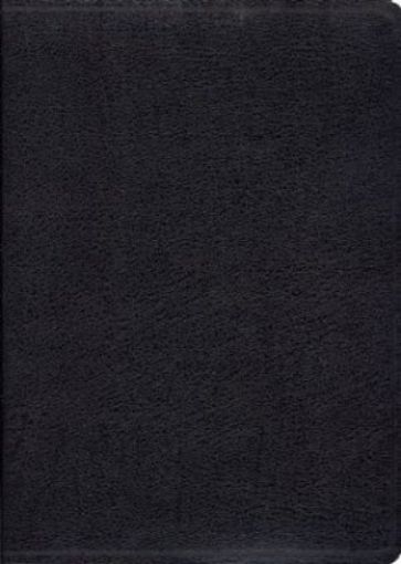 Picture of Kjv Hebrew-Greek Study Bible- Black