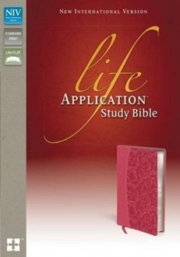 Picture of Niv-Lasb Study Bible