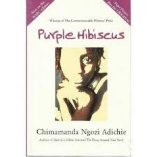 Picture of Purple Hibiscus