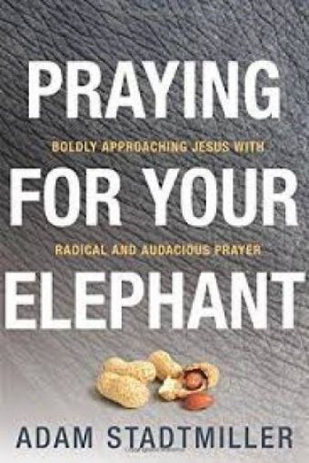 Picture of Praying For Your Elephant P/C