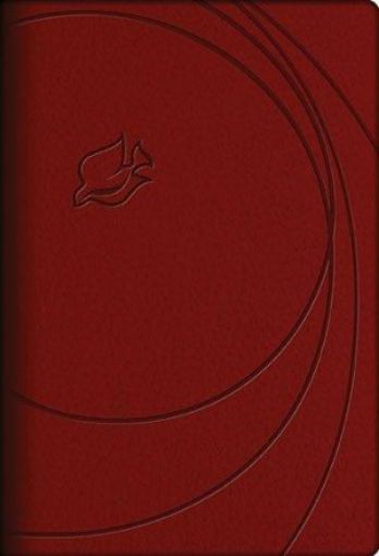 Picture of Nlt-New Spirit-Life Bible Leather Cover