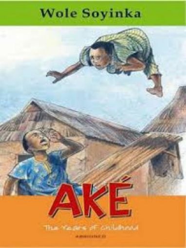 Picture of Akã©: The Years Of Childhood