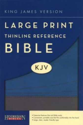 Picture of The Holy Bible: King James Version, Slate/ Blue Flexisoft, Thinline Reference Bible