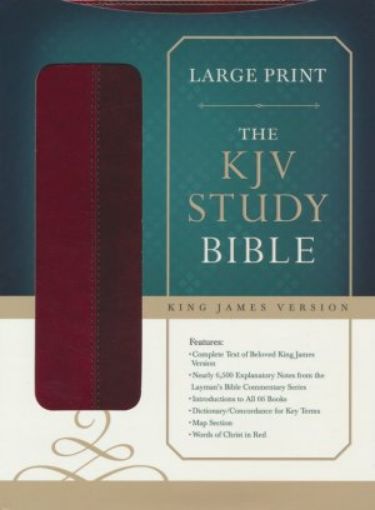 Picture of Kjv Study Bible, Large Print, Leather, Imitation