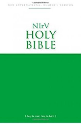 Picture of Nirv Economy Bible