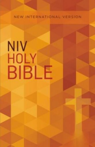 Picture of Niv, Value Outreach Bible