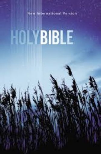 Picture of Niv, Value Outreach Bible