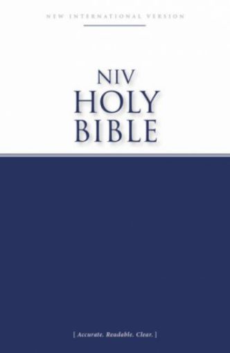 Picture of Niv, Economy Bible