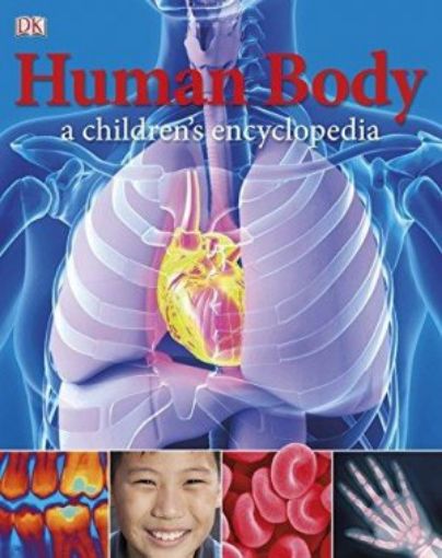 Picture of Human Body A Children's Encyclopedia