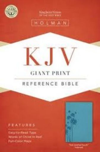 Picture of Giant Print Refrence Index Teal