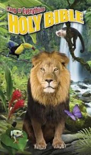 Picture of King Of Everything Bible