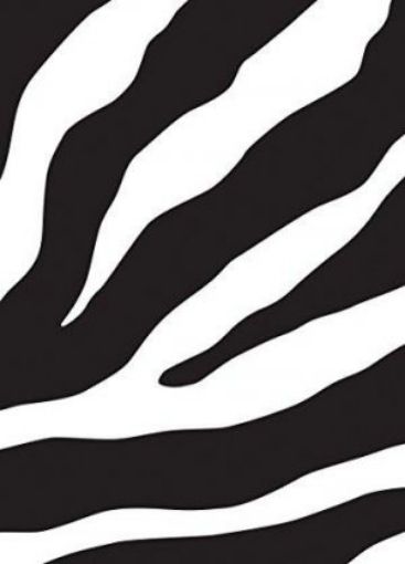 Picture of The Message Zebra Remix