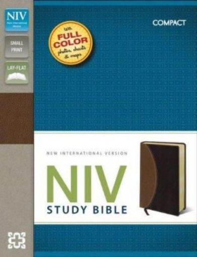 Picture of Niv Study Bible, Compact, Imitation Leather, Tan Burgundy