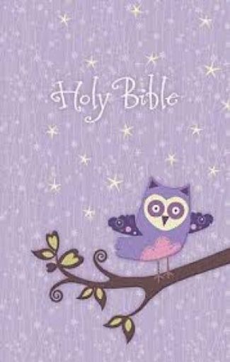 Picture of Owl Nkjv Bible-Glittery Cloth Cover
