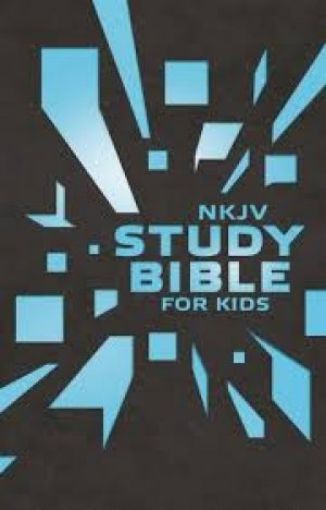 Picture of Nkjv Study Bible For Kids