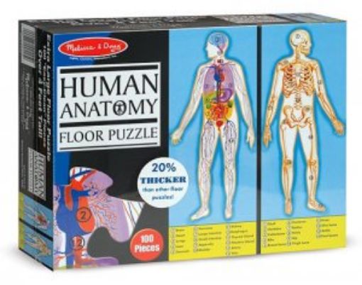Picture of Human Anatomy (Floor Puzzle)