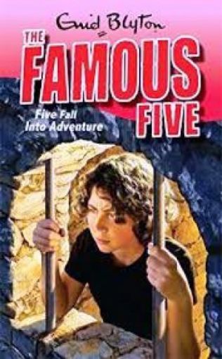 Picture of Five Fall Into Adventure