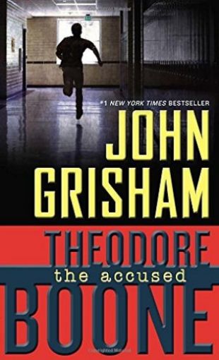 Picture of Theodore Boone: The Accused