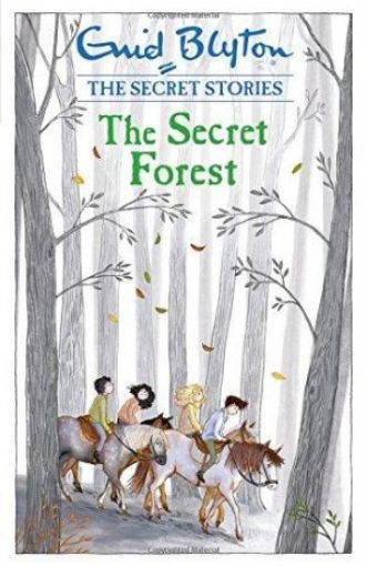 Picture of Secret Stories: The Secret Forest