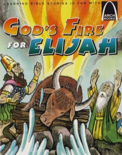 Picture of God's Fire For Elijah