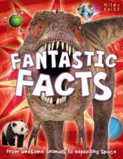 Picture of Fantastic Facts
