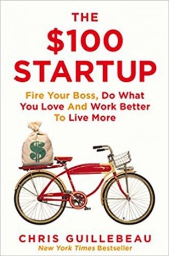 Picture of The $100 Startup