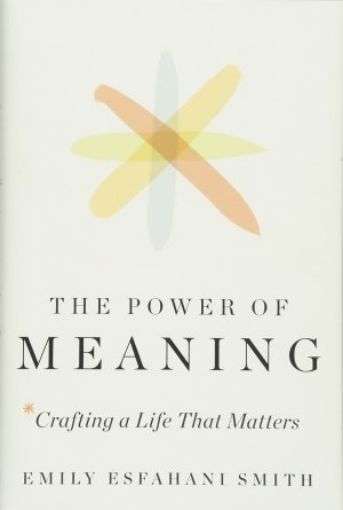 Picture of The Power Of Meaning: Crafting A Life That Matters