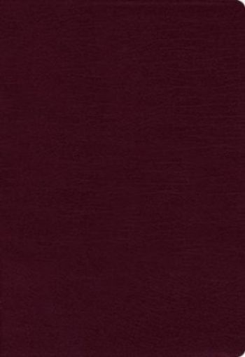 Picture of Niv - Thinline Bible - Bonded Leather - Burgundy