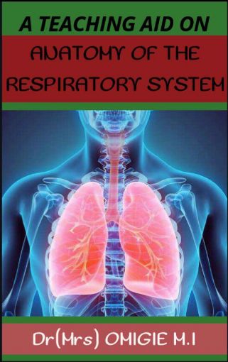 Picture of ANATOMY OF THE RESPIRATORY SYSTEM.