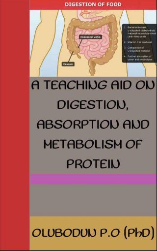 Picture of A teaching aid on Digestion, Absorption and Metabolism of Protein