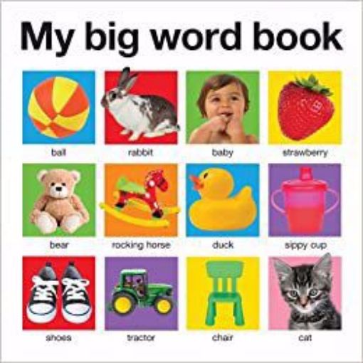 Picture of My Big Word Book