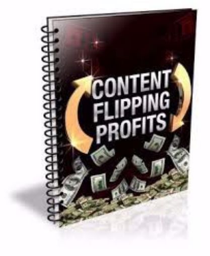 Picture of Content Flipping Profits