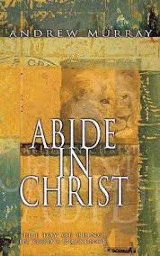 Picture of Abide in Christ: The Joy of Being in God's Presence