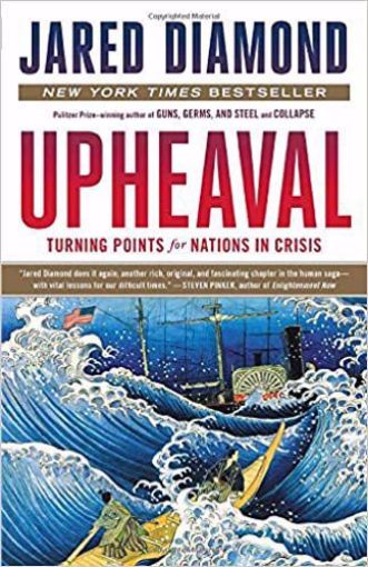 Picture of Upheaval: Turning Points for Nations in Crisis