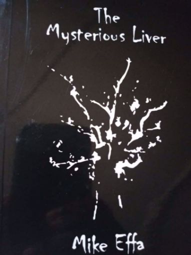 Picture of The Mysterious Liver