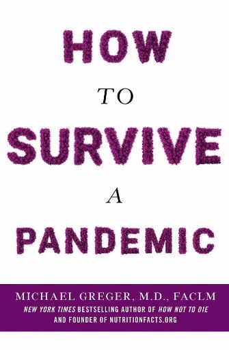 Picture of HOW TO SURVIVE A PANDEMIC