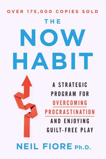 Picture of The Now Habit