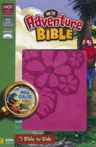 Picture of NKJV-ADVENTURE BIBLE