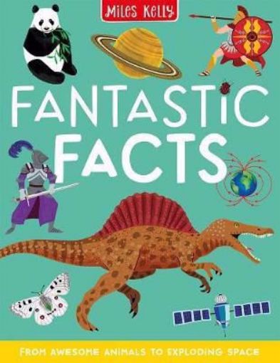 Picture of FANTASTIC FACTS